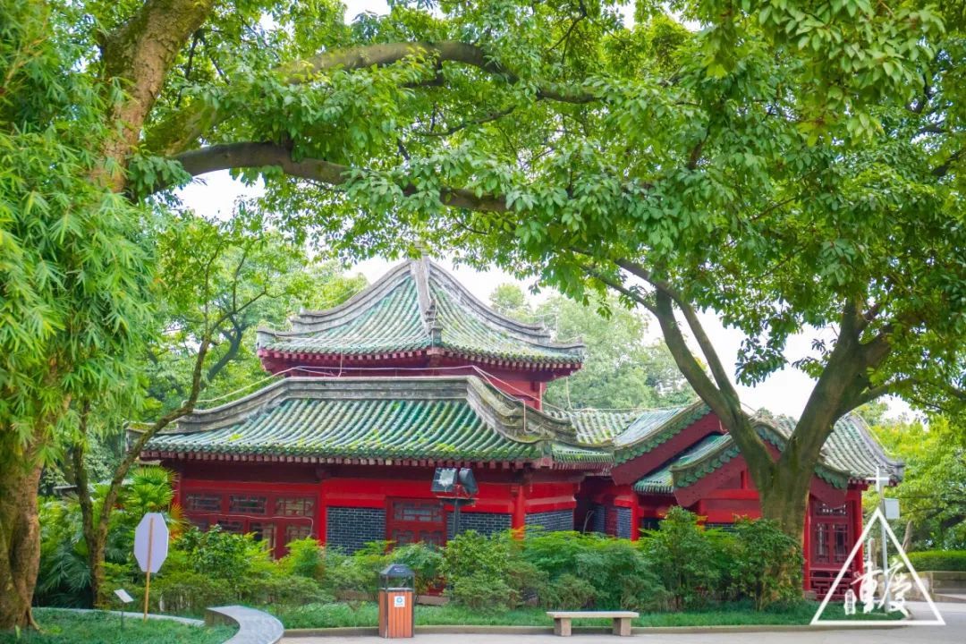 重庆最新旅游大全,重庆全集免费观看