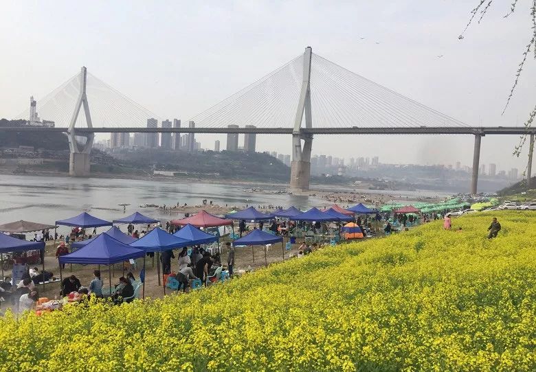 重庆最新旅游大全,重庆全集免费观看