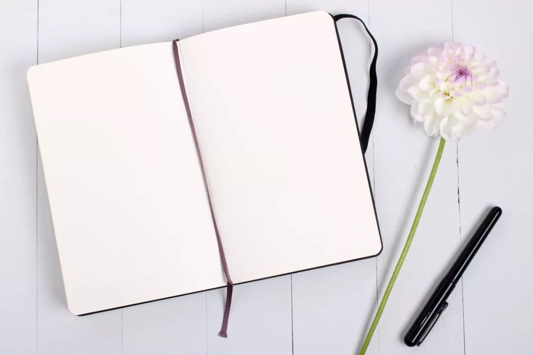 2023年高考易错成语分类大总结,2010到2019年高考成语题汇编