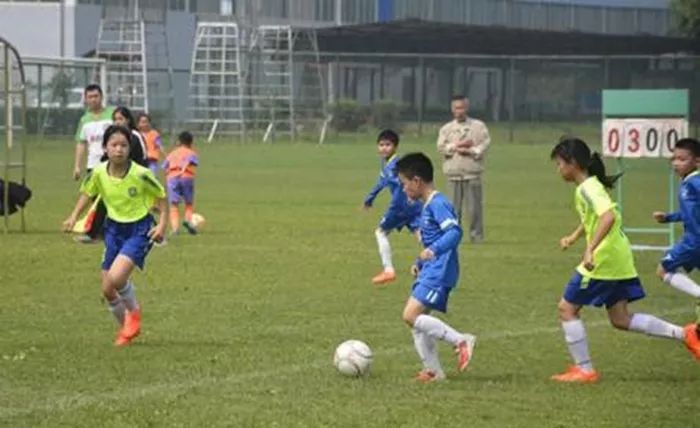 梧州三月三民族体育活动,三月三梧州接待游客人数