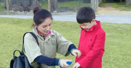 嗡嗡嗡，你真烦。