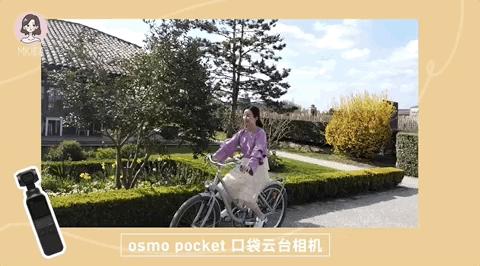 持久平价的气垫,100以下好用又平价的气垫