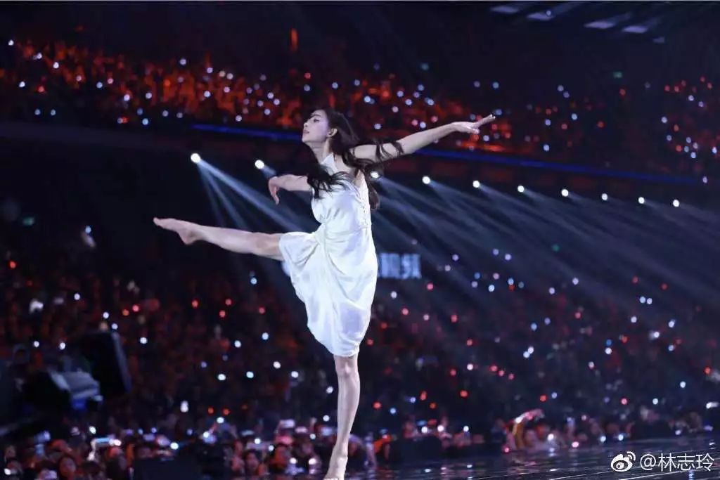 林志玲捐款救儿童,林志玲捐款二十万