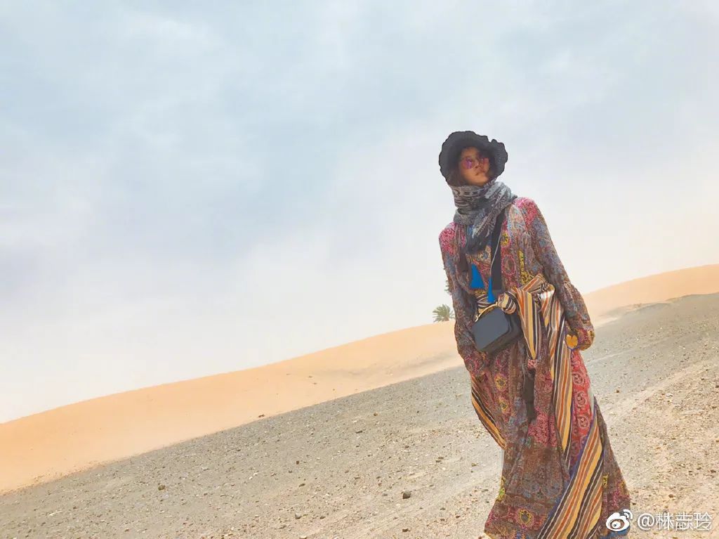 林志玲捐款救儿童,林志玲捐款二十万