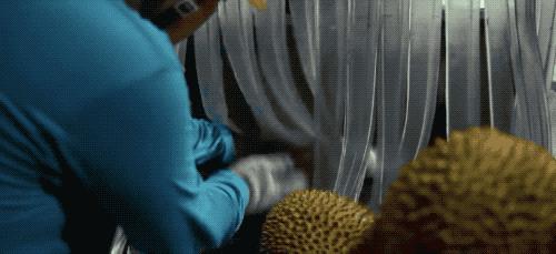 榴莲干特征,榴莲干为什么这么好吃