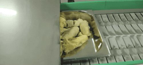 榴莲干特征,榴莲干为什么这么好吃