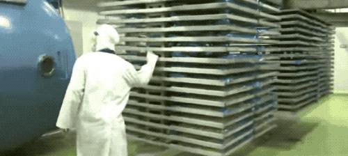 榴莲干特征,榴莲干为什么这么好吃