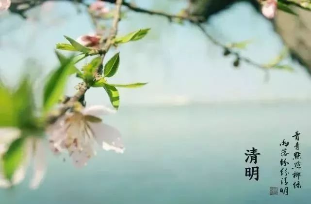 清明节的由来和习俗动画完整版,小班清明节的由来和习俗教案思考