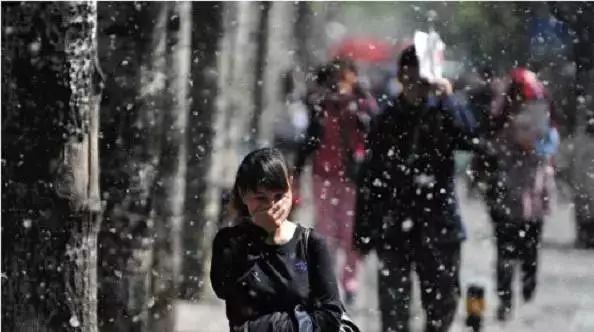 狂降13℃+雨，马上到！