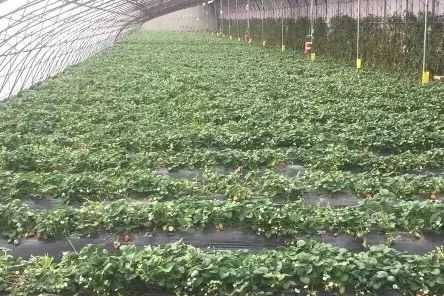 大连旅游攻略冬天普兰店,玩遍大连惊艳的季节