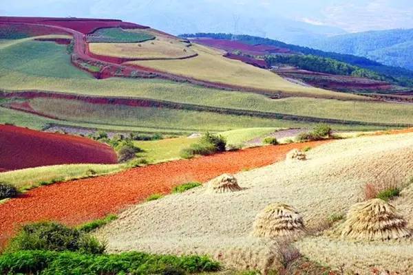 5月东川红土地旅游攻略,旅行记五彩斑斓的东川红土地