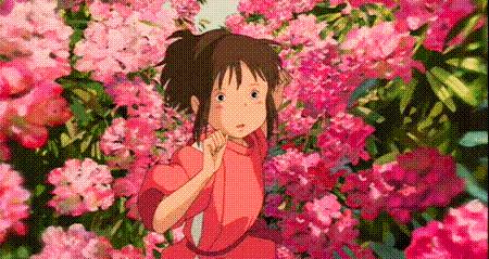 冬天也能赏到鲜花的芬芳,园博苑花海季节