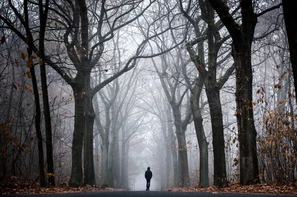 精神疾病有得治吗,精神疾病意味什么