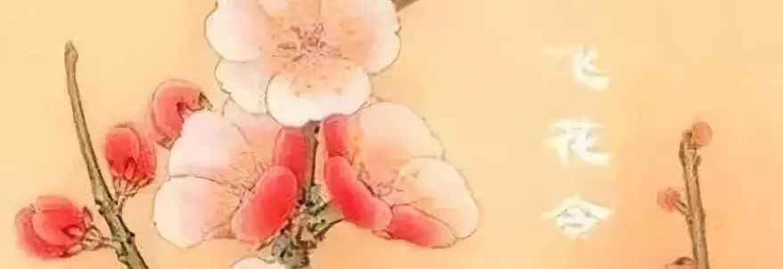 藏不住就公开吧,我们是这样的铁路工务妹子