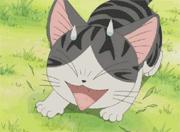 番禺最有代表性的植物是什么,农村到处都有的这种草竟然是个宝