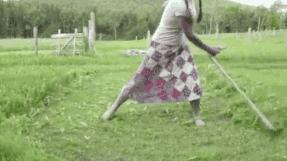 番禺最有代表性的植物是什么,农村到处都有的这种草竟然是个宝