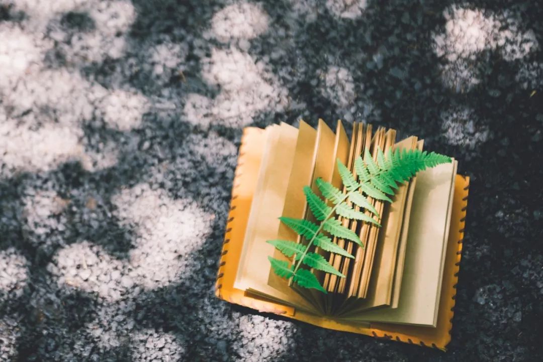 做人靠谱的八个细节,靠谱的人八个细节很准