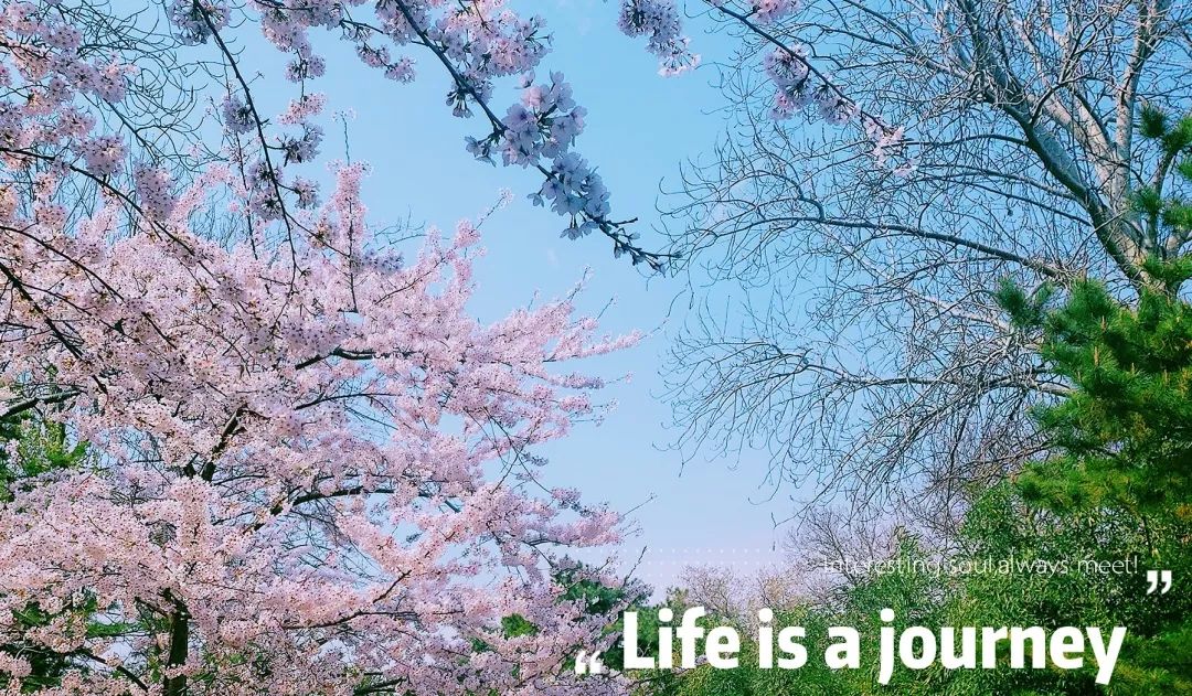 晚安故事2019,晚安故事冬天