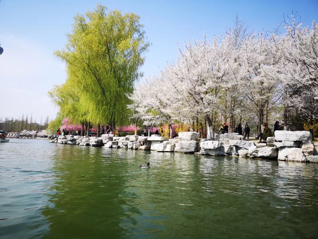 晚安故事2019,晚安故事冬天