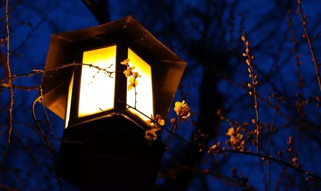 晚安故事2019,晚安故事冬天