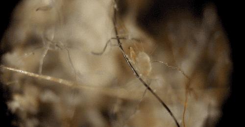 衣服收纳神器防虫防霉,衣服收纳柜子防尘防发霉