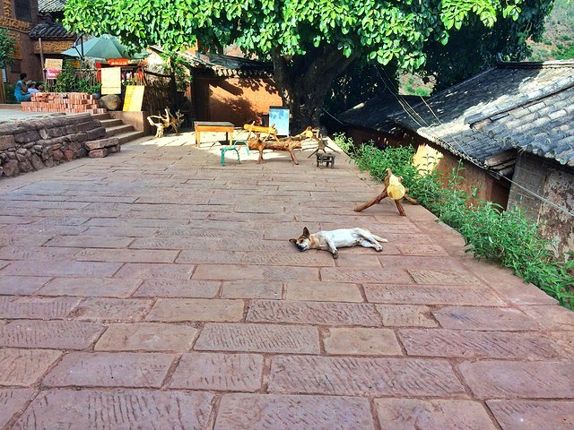 旅行到古代：隐居在大理的诺邓千年山村，追寻慢时光与《舌尖上的中国》