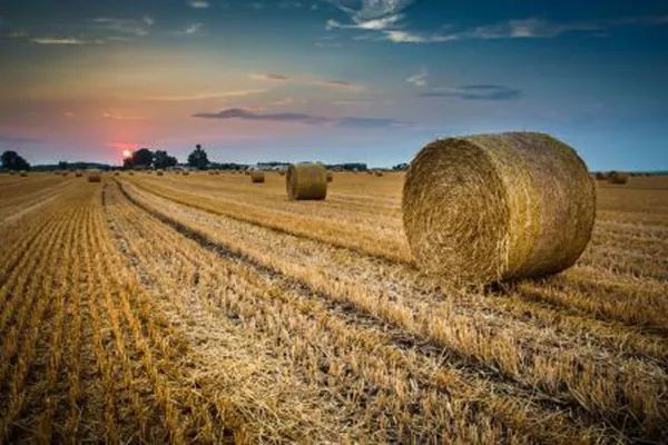 有机肥补贴200元,100亩以上土地有机肥补贴政策