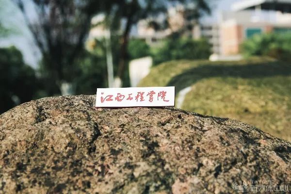 我是你不得不偏爱的江工小物件，对吗？