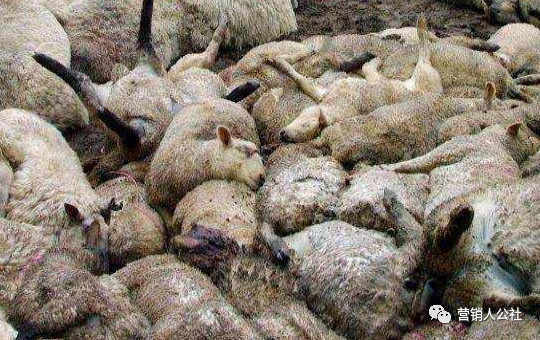 如何找到真正的产品卖点,当你的产品找不到卖点怎么办