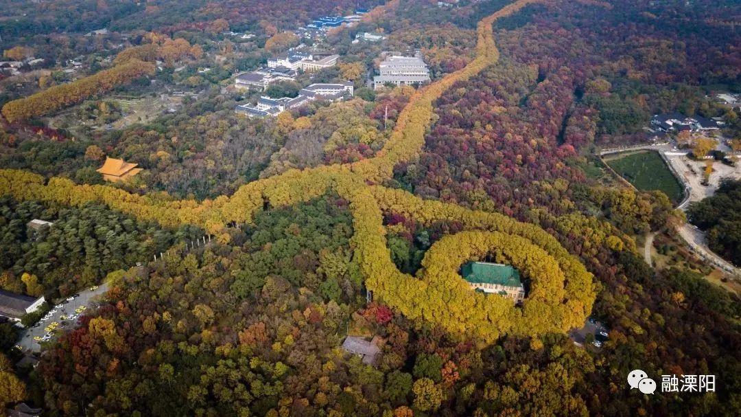 春游好去处！原来长三角有这么多免费的景点！马上出发！