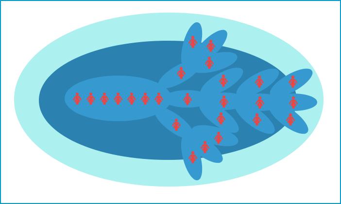 传统实体零售业与电商的区别,内容电商和社交电商有什么区别
