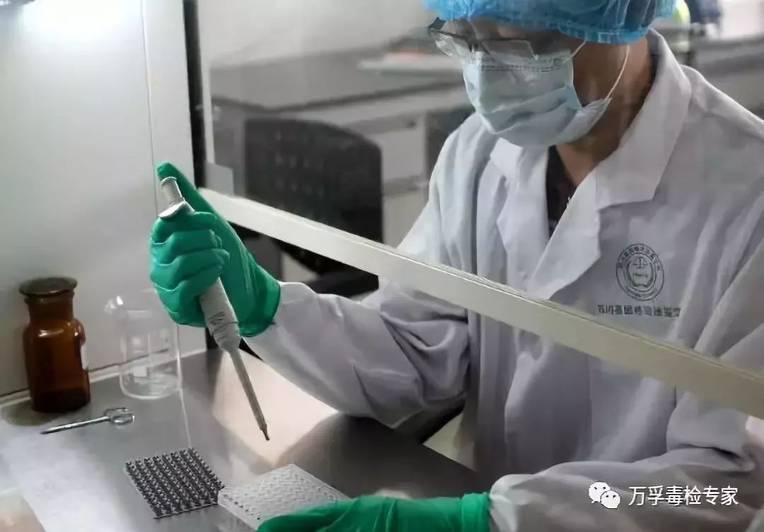 吸毒检测一般多久出结果,检测吸毒尿液几道杠是阴性