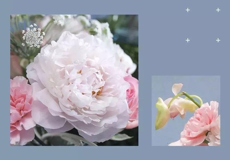 微店上新！芍药花开方寸，邮品美不胜收