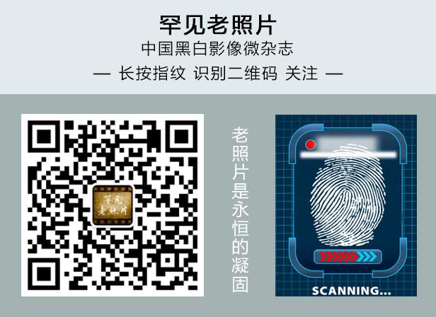 最奇怪搞笑的车,世界上又搞笑又可怕的汽车