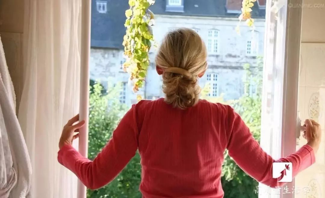 装修房子吸甲醛最好的是什么植物,吸甲醛最好的植物排行榜