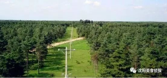 清明小长假出去耍这份攻略请收藏,清明长假旅游攻略北方