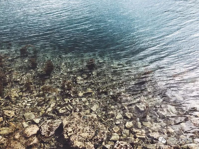 京都有什么值得去的餐厅,京都有啥好吃又不贵的