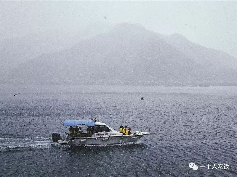 京都有什么值得去的餐厅,京都有啥好吃又不贵的