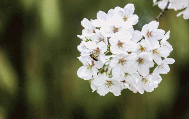 中山最佳打卡公园,景色打卡点中山公园
