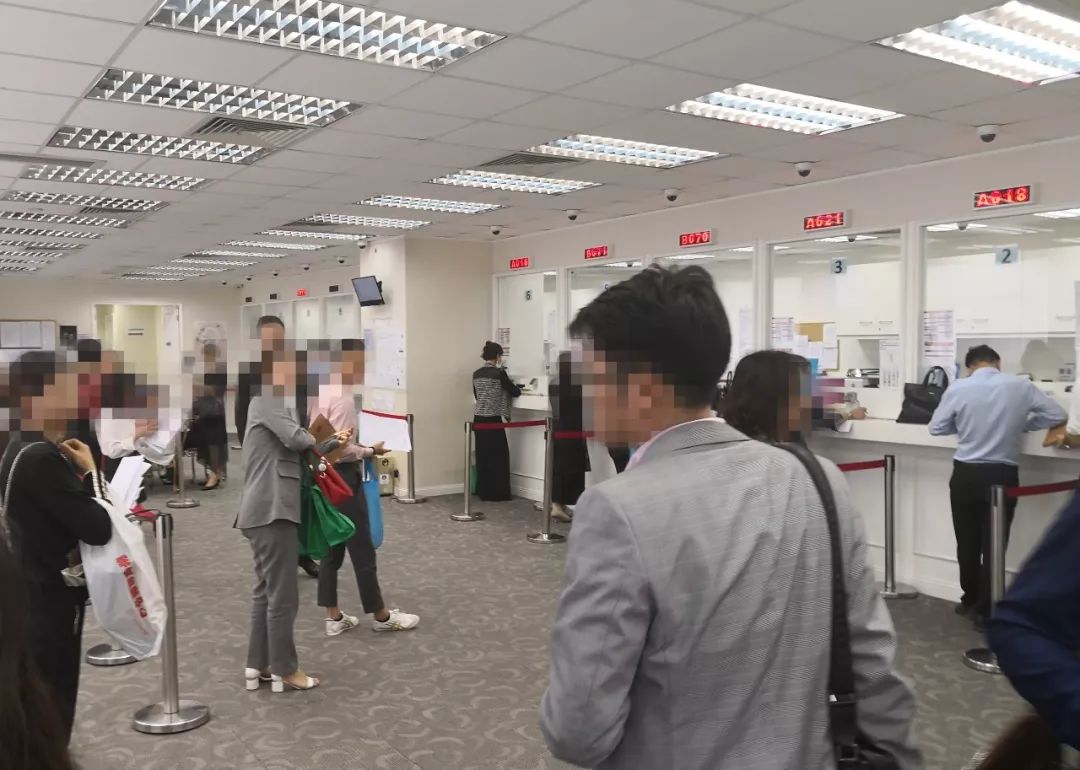 亮碧思传销诈骗案例,深圳亮碧思传销案件