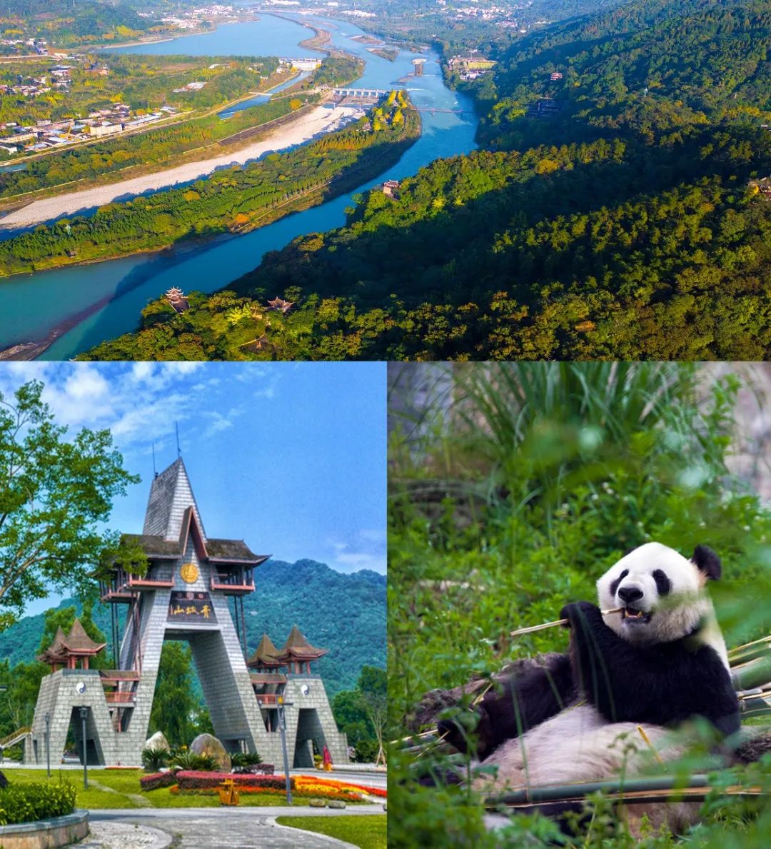 都江堰青城康养,都江堰青城康养中心