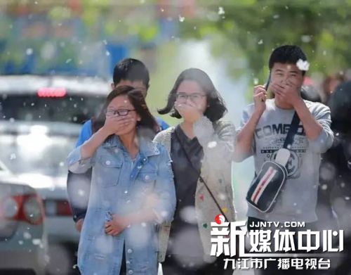 梧桐飞絮易引发皮肤过敏发红,梧桐树飘絮过敏症状