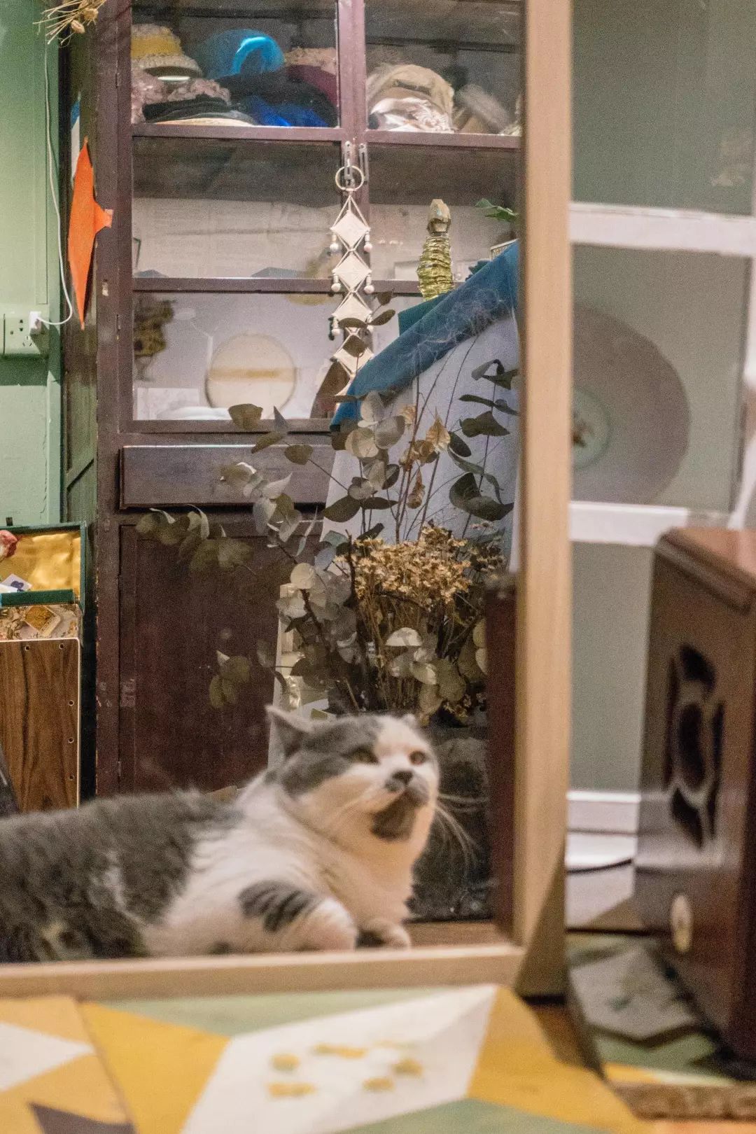 广州市大型杂货铺,广州杂货铺哪里最好