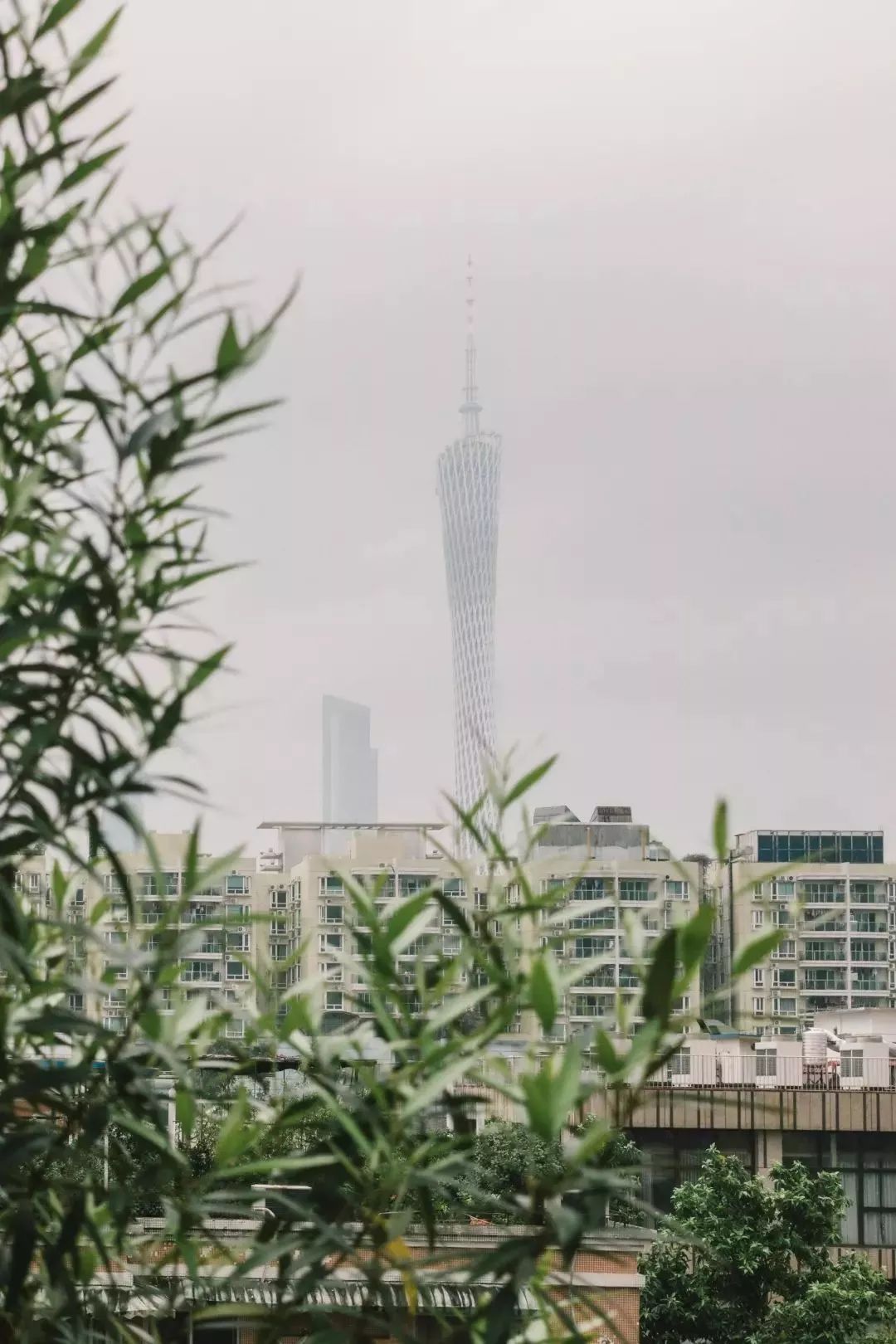 广州市大型杂货铺,广州杂货铺哪里最好