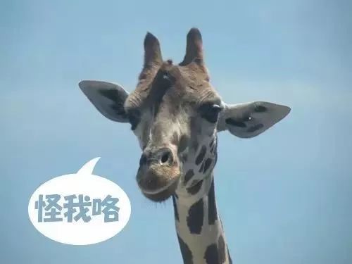 日本网友把这些汉字组合起来后，发现了不得了的事