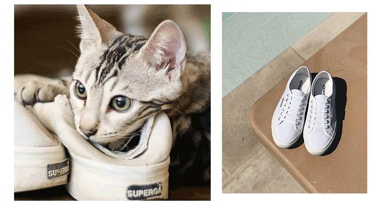 买鞋还得买耐克配音,买鞋还得买啥