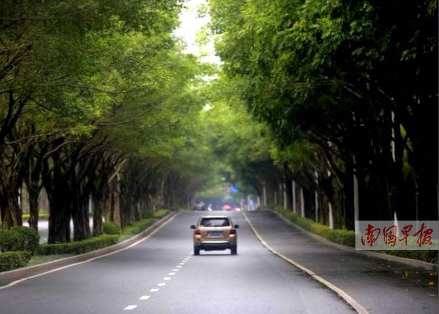 讲脏话是时尚,不说会落伍?南宁近5成孩子生活中“出口成脏”!