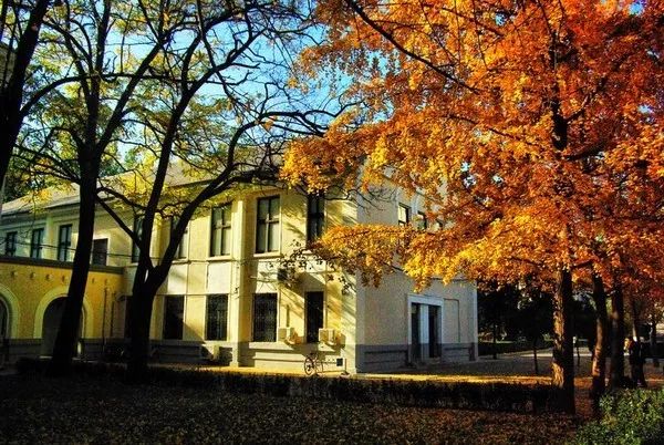 写给女孩子的一封情书,写给校区老师的一封信