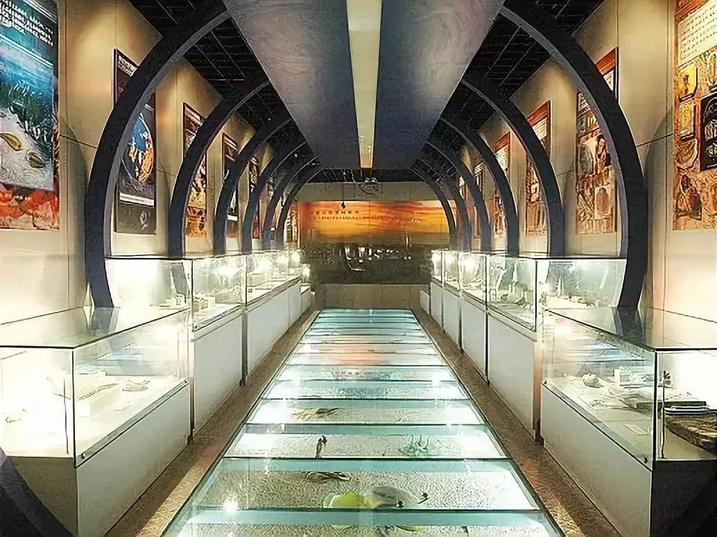 武汉地质大学南望山,武汉地质大学汉口校区