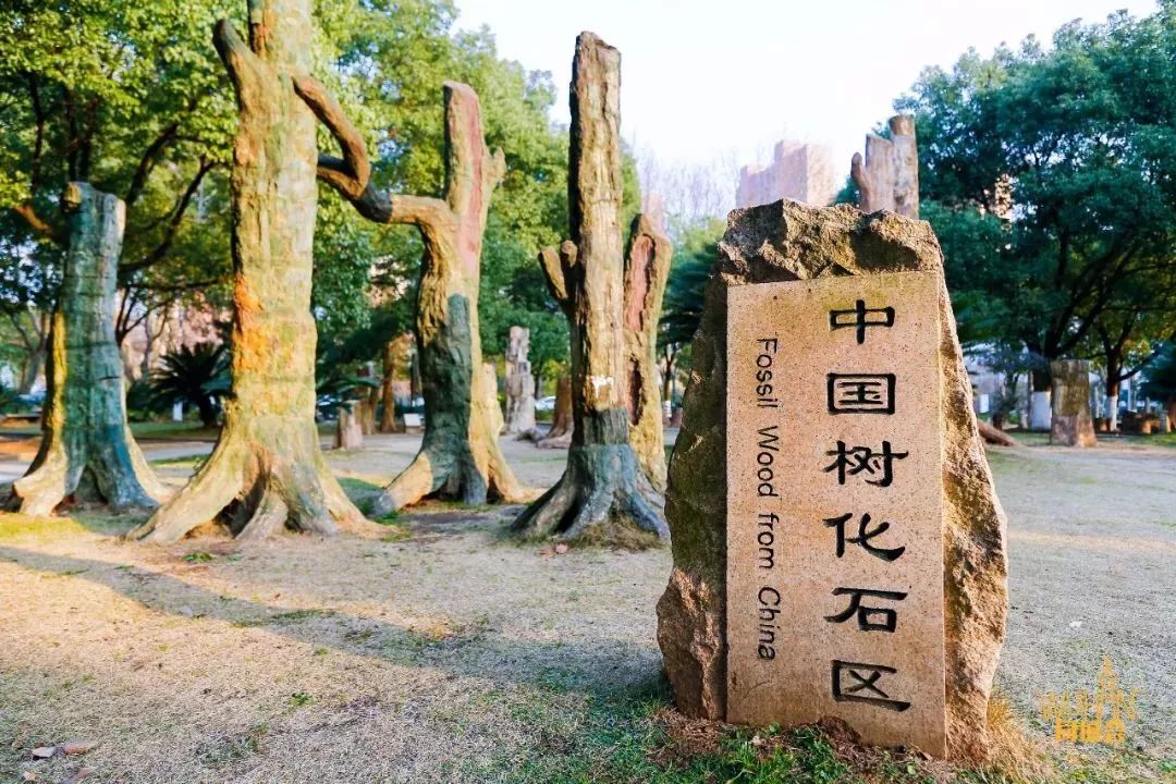 武汉地质大学南望山,武汉地质大学汉口校区